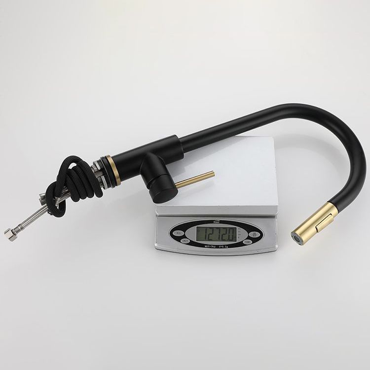 Modern Style Kitchen Faucet Stainless Steel 1-Handle Gooseneck Kitchen Faucet Clearhalo 'Home Improvement' 'home_improvement' 'home_improvement_kitchen_faucets' 'Kitchen Faucets' 'Kitchen Remodel & Kitchen Fixtures' 'Kitchen Sinks & Faucet Components' 'kitchen_faucets' 1200x1200_a6630fae-4ee2-451b-b9ae-ddd0c768850d