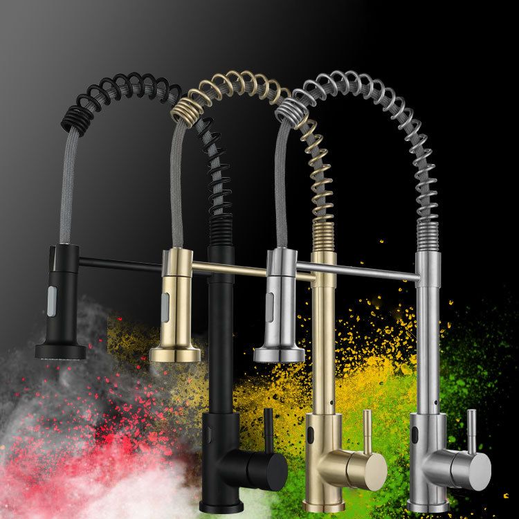 Modern Farmhouse Spring Spout One Handle Kitchen Faucet High Arch Water Filler Clearhalo 'Home Improvement' 'home_improvement' 'home_improvement_kitchen_faucets' 'Kitchen Faucets' 'Kitchen Remodel & Kitchen Fixtures' 'Kitchen Sinks & Faucet Components' 'kitchen_faucets' 1200x1200_a70663c3-7ca5-41b3-bbb3-9521196fe346