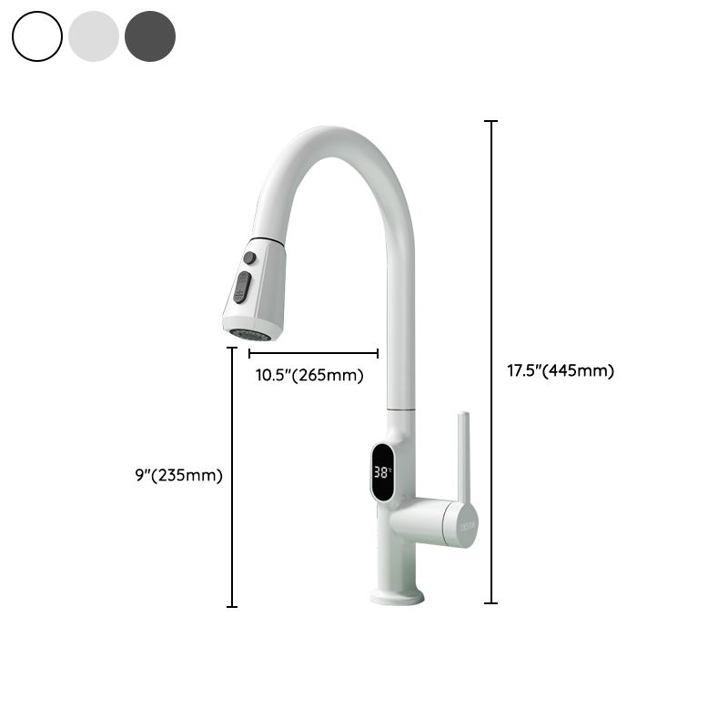 Digital Display Kitchen Faucet Touchless Sensor with Pull Out Sprayer Clearhalo 'Home Improvement' 'home_improvement' 'home_improvement_kitchen_faucets' 'Kitchen Faucets' 'Kitchen Remodel & Kitchen Fixtures' 'Kitchen Sinks & Faucet Components' 'kitchen_faucets' 1200x1200_a9175e92-71d7-4dc0-a5ca-8dc007ae14c9