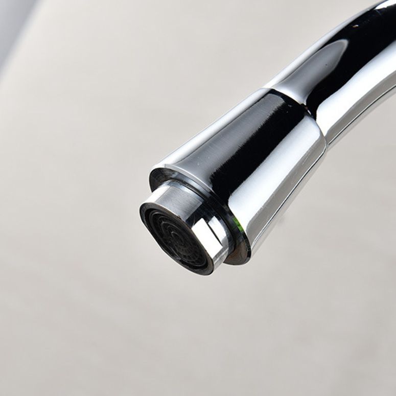 Traditional 1-Handle Faucet 1-Hole with Water Dispenser Standard Kitchen Faucet Clearhalo 'Home Improvement' 'home_improvement' 'home_improvement_kitchen_faucets' 'Kitchen Faucets' 'Kitchen Remodel & Kitchen Fixtures' 'Kitchen Sinks & Faucet Components' 'kitchen_faucets' 1200x1200_a93eb568-bb51-48e7-98ae-3e17427578e3