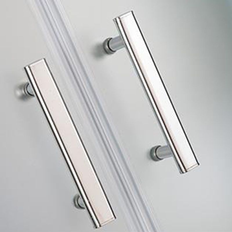 Rectangle Shower Stall Tempered Glass Shower Stall with Shower Base Clearhalo 'Bathroom Remodel & Bathroom Fixtures' 'Home Improvement' 'home_improvement' 'home_improvement_shower_stalls_enclosures' 'Shower Stalls & Enclosures' 'shower_stalls_enclosures' 'Showers & Bathtubs' 1200x1200_a9c81907-f0bf-4eed-8951-67983b4806d7