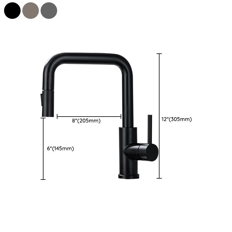 Modern Pull Out Single Rotary Switch Kitchen Faucet High Profile Faucet Clearhalo 'Home Improvement' 'home_improvement' 'home_improvement_kitchen_faucets' 'Kitchen Faucets' 'Kitchen Remodel & Kitchen Fixtures' 'Kitchen Sinks & Faucet Components' 'kitchen_faucets' 1200x1200_aa8a3a8b-d5b7-42e8-8f73-70cced2bc150