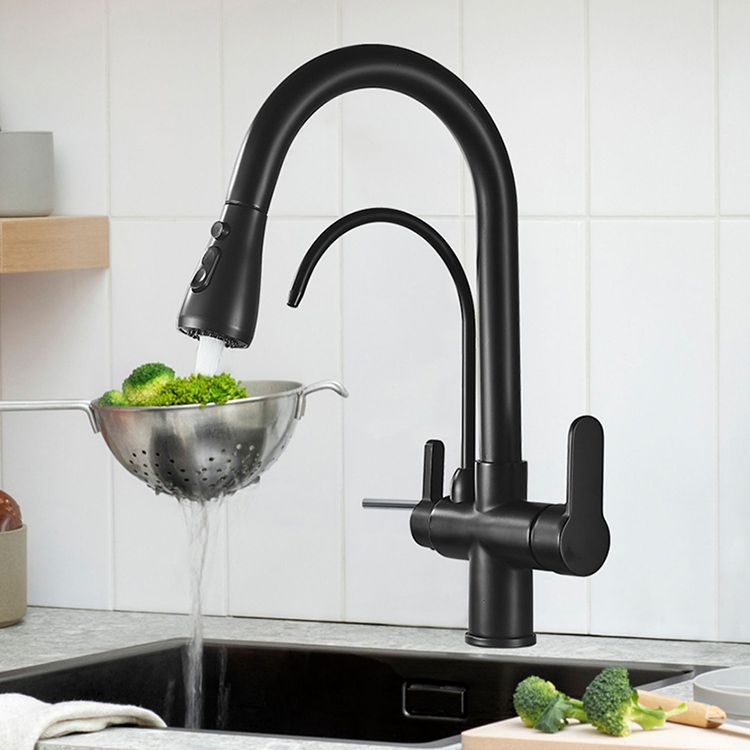 Contemporary Two Handles Kitchen Faucet Double Faucet 1-Hold Faucet Clearhalo 'Home Improvement' 'home_improvement' 'home_improvement_kitchen_faucets' 'Kitchen Faucets' 'Kitchen Remodel & Kitchen Fixtures' 'Kitchen Sinks & Faucet Components' 'kitchen_faucets' 1200x1200_ab2e9d79-c0f9-4f47-9454-7f4943fa2527