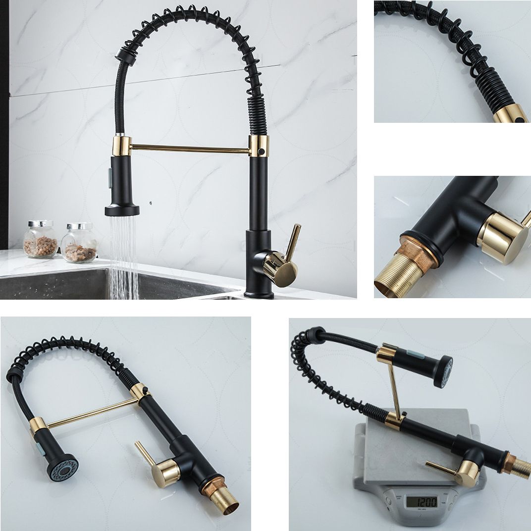 Modern Farmhouse Spring Spout One Lever Kitchen Faucet High Arch Water Filler Clearhalo 'Home Improvement' 'home_improvement' 'home_improvement_kitchen_faucets' 'Kitchen Faucets' 'Kitchen Remodel & Kitchen Fixtures' 'Kitchen Sinks & Faucet Components' 'kitchen_faucets' 1200x1200_ab6c55c4-33e9-42cf-8300-763ad30d91ac