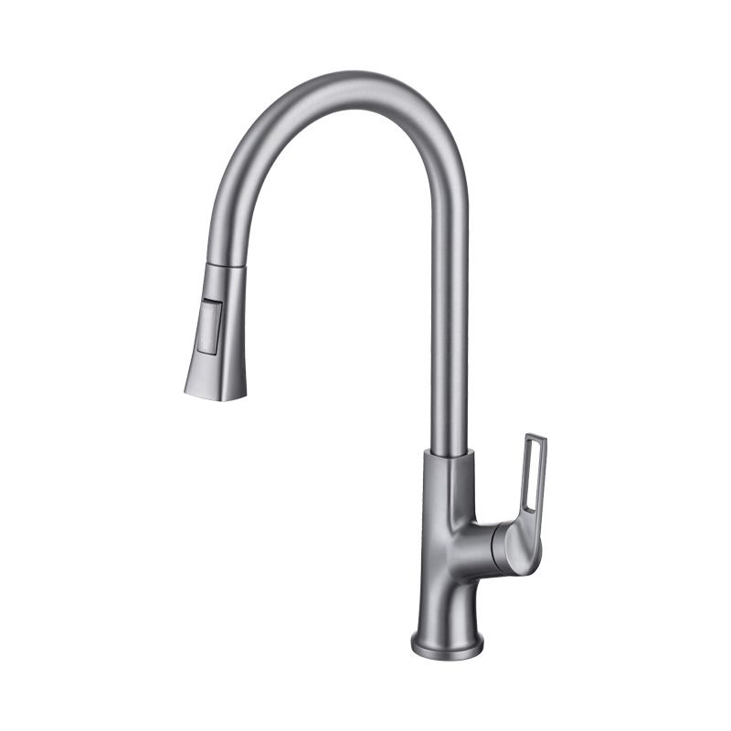 Modern Kitchen Faucet Brass Pulldown Sprayer Swivel Spout Kitchen Sink Faucet Clearhalo 'Home Improvement' 'home_improvement' 'home_improvement_kitchen_faucets' 'Kitchen Faucets' 'Kitchen Remodel & Kitchen Fixtures' 'Kitchen Sinks & Faucet Components' 'kitchen_faucets' 1200x1200_abd0536e-59c5-4532-aee9-56e8e2713aed