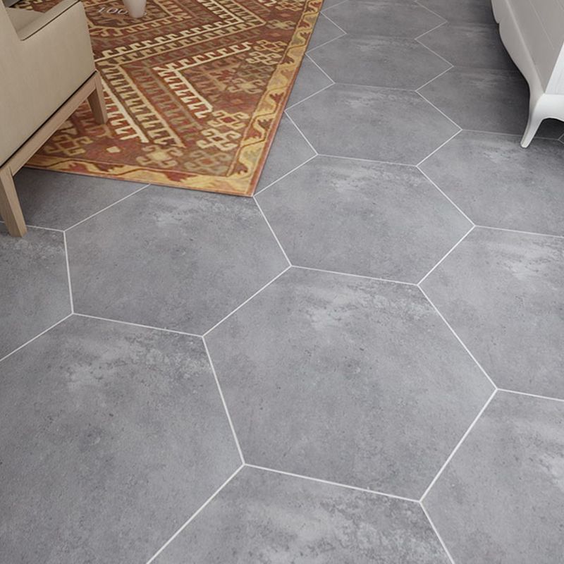 Modern Style Indoor Tile Hexagon Living Room Floor and Wall Tile Clearhalo 'Floor Tiles & Wall Tiles' 'floor_tiles_wall_tiles' 'Flooring 'Home Improvement' 'home_improvement' 'home_improvement_floor_tiles_wall_tiles' Walls and Ceiling' 1200x1200_ac62cffc-6302-4f25-851e-eac49c2c128e