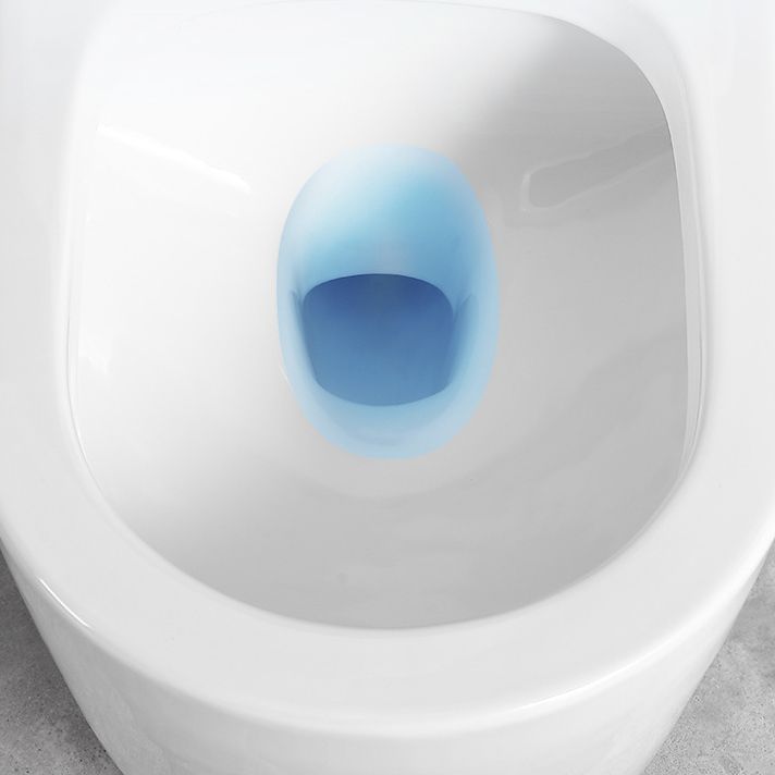 Traditional All-In-One Toilet Bowl Floor Mount Urine Toilet for Washroom Clearhalo 'Bathroom Remodel & Bathroom Fixtures' 'Home Improvement' 'home_improvement' 'home_improvement_toilets' 'Toilets & Bidets' 'Toilets' 1200x1200_afe56cdf-6fb4-4aad-b631-8dfaca2932cf