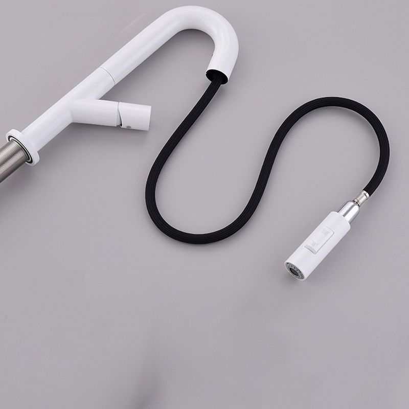 High-Arc Modern Style Bathroom Faucet Single Handle Pull-out Faucet Clearhalo 'Home Improvement' 'home_improvement' 'home_improvement_kitchen_faucets' 'Kitchen Faucets' 'Kitchen Remodel & Kitchen Fixtures' 'Kitchen Sinks & Faucet Components' 'kitchen_faucets' 1200x1200_b0717de1-5189-4b33-808d-45e2f63789fa