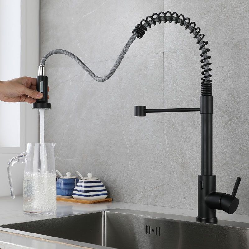 Modern Farmhouse Spring Spout One Handle Kitchen Faucet High Arch Water Filler Clearhalo 'Home Improvement' 'home_improvement' 'home_improvement_kitchen_faucets' 'Kitchen Faucets' 'Kitchen Remodel & Kitchen Fixtures' 'Kitchen Sinks & Faucet Components' 'kitchen_faucets' 1200x1200_b080b6c1-b309-456e-a2ce-8006c9e3eab1