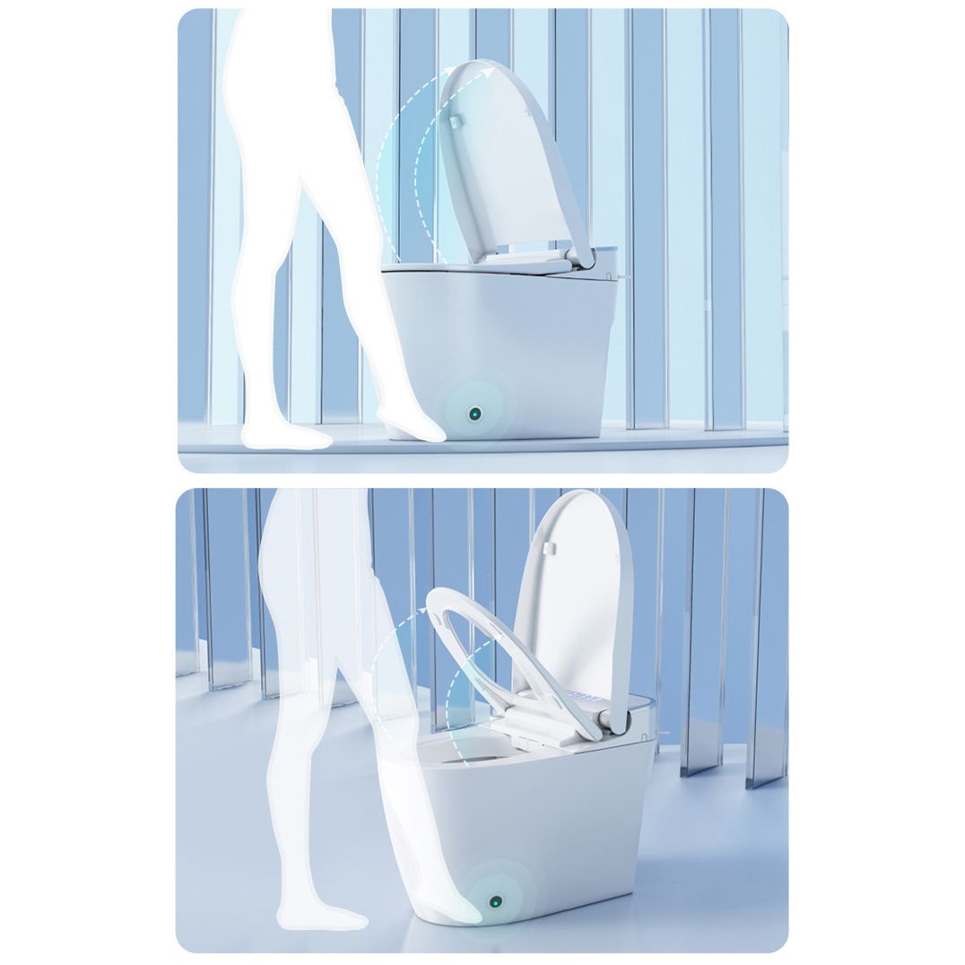 Contemporary 1-Piece Bidet Toilet Floor Mounted White Toilet Bowl for Bathroom Clearhalo 'Bathroom Remodel & Bathroom Fixtures' 'Home Improvement' 'home_improvement' 'home_improvement_toilets' 'Toilets & Bidets' 'Toilets' 1200x1200_b0f99879-0a36-4738-a30c-db07cbe5469d