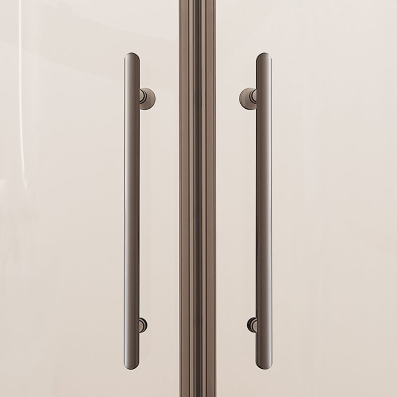 Framed Clear Shower Doors Double Sliding Tempered Shower Bath Door Clearhalo 'Bathroom Remodel & Bathroom Fixtures' 'Home Improvement' 'home_improvement' 'home_improvement_shower_tub_doors' 'Shower and Tub Doors' 'shower_tub_doors' 'Showers & Bathtubs' 1200x1200_b1e62b89-c976-4c9a-8ffb-c097982fb0a9