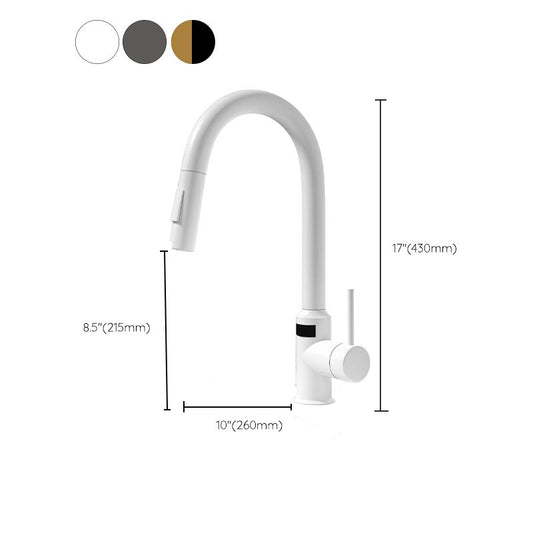 Modern Standard Bar Faucet 1-Handle with Pull down Sprayer Kitchen Faucet Clearhalo 'Home Improvement' 'home_improvement' 'home_improvement_kitchen_faucets' 'Kitchen Faucets' 'Kitchen Remodel & Kitchen Fixtures' 'Kitchen Sinks & Faucet Components' 'kitchen_faucets' 1200x1200_b1ee0659-e1a5-4f52-83d5-0b43acd73c1d