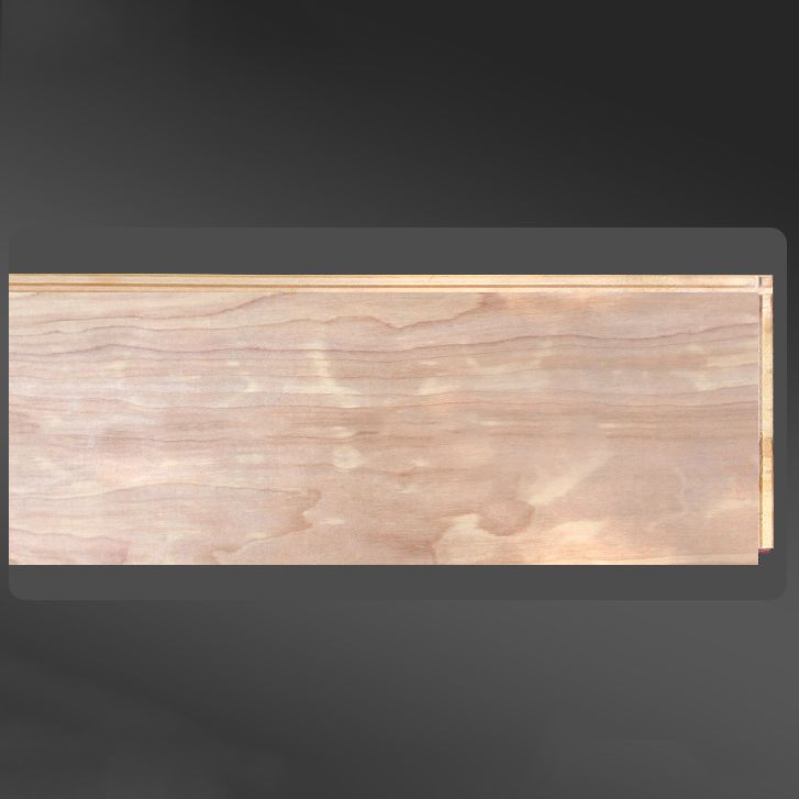 Solid Wood Laminate Floor Water-resistant and Scratch Resistant Laminate for Home Clearhalo 'Flooring 'Home Improvement' 'home_improvement' 'home_improvement_laminate_flooring' 'Laminate Flooring' 'laminate_flooring' Walls and Ceiling' 1200x1200_b252d034-04fe-4b43-a3ca-78740ccb4af9