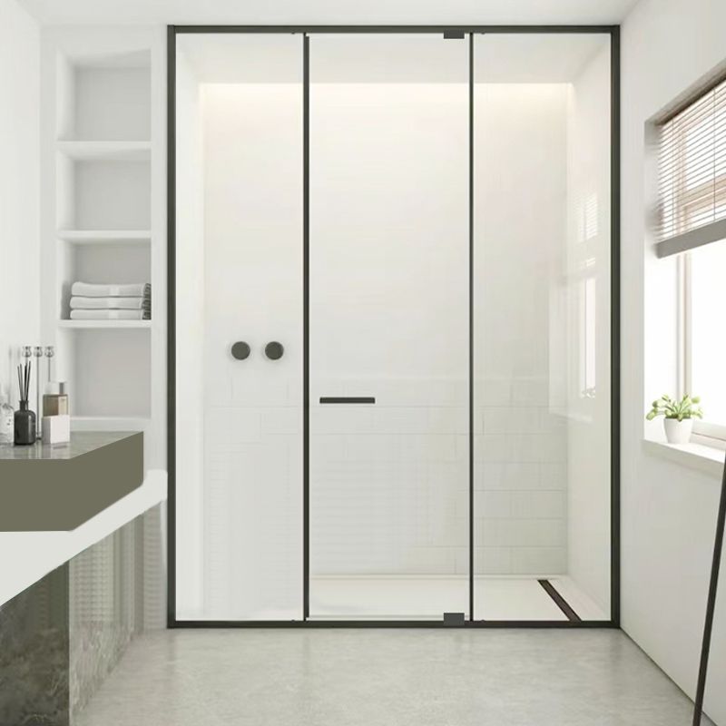 Full Narrow Frame Pivot Shower Door Tempered Glass Shower Door Clearhalo 'Bathroom Remodel & Bathroom Fixtures' 'Home Improvement' 'home_improvement' 'home_improvement_shower_tub_doors' 'Shower and Tub Doors' 'shower_tub_doors' 'Showers & Bathtubs' 1200x1200_b3239629-4380-4f38-964b-13e0f232a864