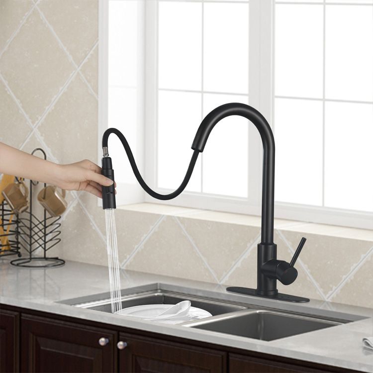 304 Stainless Steel Kitchen Faucet 3-Function Spray High Arc with Pull down Sprayer Clearhalo 'Home Improvement' 'home_improvement' 'home_improvement_kitchen_faucets' 'Kitchen Faucets' 'Kitchen Remodel & Kitchen Fixtures' 'Kitchen Sinks & Faucet Components' 'kitchen_faucets' 1200x1200_b3644470-db64-4c5e-9d8e-315963546993