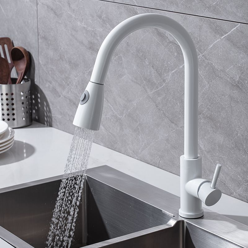 1-Handle Kitchen Faucet Pull down Sprayer with Supply Lines Bar Faucet Clearhalo 'Home Improvement' 'home_improvement' 'home_improvement_kitchen_faucets' 'Kitchen Faucets' 'Kitchen Remodel & Kitchen Fixtures' 'Kitchen Sinks & Faucet Components' 'kitchen_faucets' 1200x1200_b399d4f1-ee5d-47e4-b299-92be16214cc0