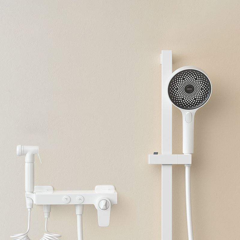 Shower System Massage Jet Round Handheld Shower Head Wall Mounted Shower Trim Clearhalo 'Bathroom Remodel & Bathroom Fixtures' 'Home Improvement' 'home_improvement' 'home_improvement_shower_faucets' 'Shower Faucets & Systems' 'shower_faucets' 'Showers & Bathtubs Plumbing' 'Showers & Bathtubs' 1200x1200_b3ec1af7-fbad-4454-bc07-79ec9ec4dbed