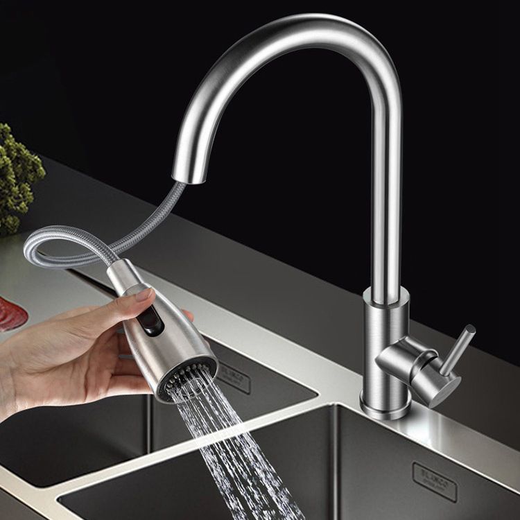 Modern 1-Handle Faucet 304 Stainless Steel with Water Dispenser Pull down Faucet Clearhalo 'Home Improvement' 'home_improvement' 'home_improvement_kitchen_faucets' 'Kitchen Faucets' 'Kitchen Remodel & Kitchen Fixtures' 'Kitchen Sinks & Faucet Components' 'kitchen_faucets' 1200x1200_b4353049-a12c-4d34-9e41-d1537602e90d