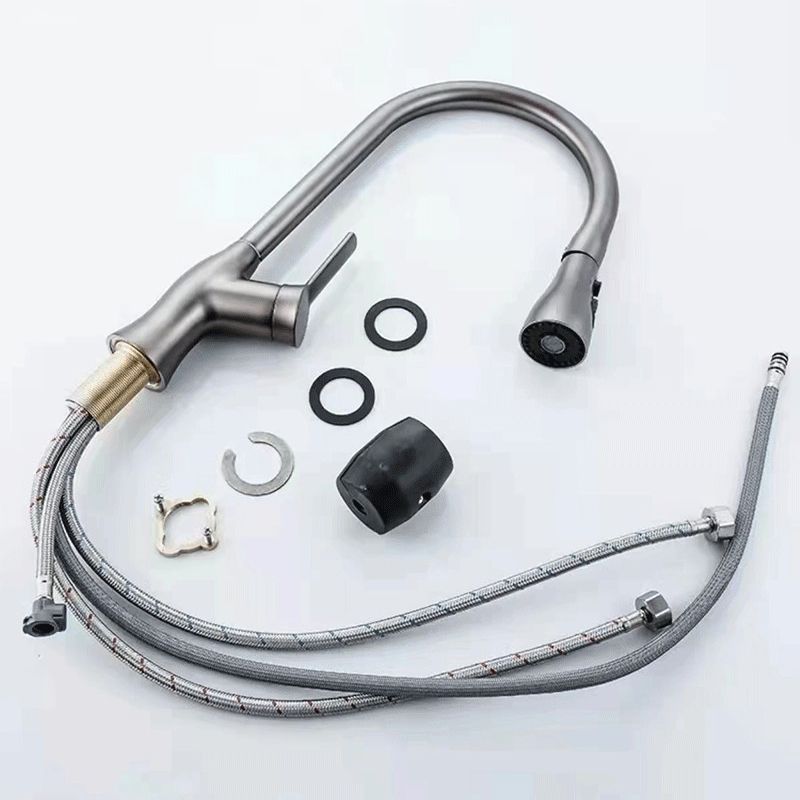 1-Hole 1-Handle Faucet Pull out Sprayer Standard Kitchen Faucet Clearhalo 'Home Improvement' 'home_improvement' 'home_improvement_kitchen_faucets' 'Kitchen Faucets' 'Kitchen Remodel & Kitchen Fixtures' 'Kitchen Sinks & Faucet Components' 'kitchen_faucets' 1200x1200_b4751749-24e5-49c8-8cda-9b864dc31da8