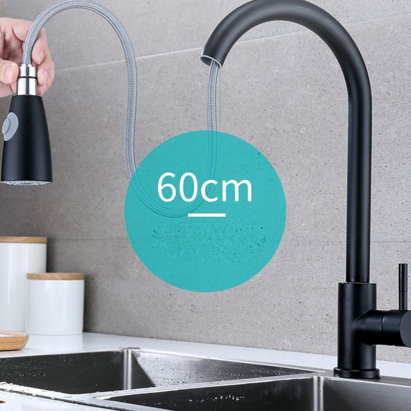 Modern Faucets 1-Handle Pull down with Water Dispenser Standard Kitchen Faucets Clearhalo 'Home Improvement' 'home_improvement' 'home_improvement_kitchen_faucets' 'Kitchen Faucets' 'Kitchen Remodel & Kitchen Fixtures' 'Kitchen Sinks & Faucet Components' 'kitchen_faucets' 1200x1200_b5a5feab-0b0a-4739-8b14-50bafd93642c
