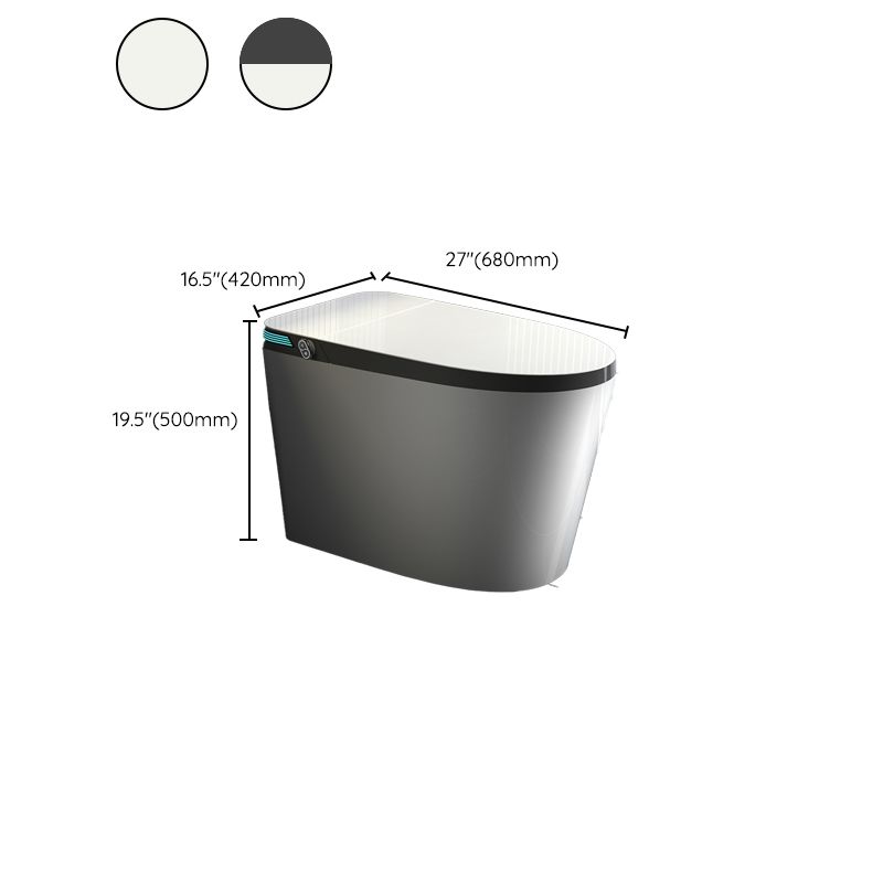 Elongated All-in-One Smart Bidet Toilet Seat with Unlimited Warm Water Clearhalo 'Bathroom Remodel & Bathroom Fixtures' 'Bidets' 'Home Improvement' 'home_improvement' 'home_improvement_bidets' 'Toilets & Bidets' 1200x1200_b5dcad88-3966-4804-99fc-dedd85c81c09