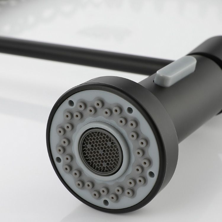 Modern Spring Spout Faucets 1-Handle 1-Hole with Water Dispenser Standard Kitchen Faucets Clearhalo 'Home Improvement' 'home_improvement' 'home_improvement_kitchen_faucets' 'Kitchen Faucets' 'Kitchen Remodel & Kitchen Fixtures' 'Kitchen Sinks & Faucet Components' 'kitchen_faucets' 1200x1200_b64c2f71-f78f-4980-97af-ce632ba99e8d