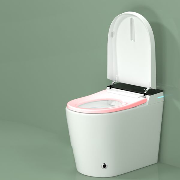 17.5" Tall Ceramic Elongated Heated Seat Contemporary Floor Mount Bidet Clearhalo 'Bathroom Remodel & Bathroom Fixtures' 'Bidets' 'Home Improvement' 'home_improvement' 'home_improvement_bidets' 'Toilets & Bidets' 1200x1200_b6c5488c-2ad7-4942-a6b5-cb59d87ae769