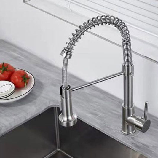 1-Handle Faucets with Water Dispenser Spring Spout Standard Kitchen Faucets Clearhalo 'Home Improvement' 'home_improvement' 'home_improvement_kitchen_faucets' 'Kitchen Faucets' 'Kitchen Remodel & Kitchen Fixtures' 'Kitchen Sinks & Faucet Components' 'kitchen_faucets' 1200x1200_b6ce7aed-f0fd-4ffa-aab4-82a964dc01d9