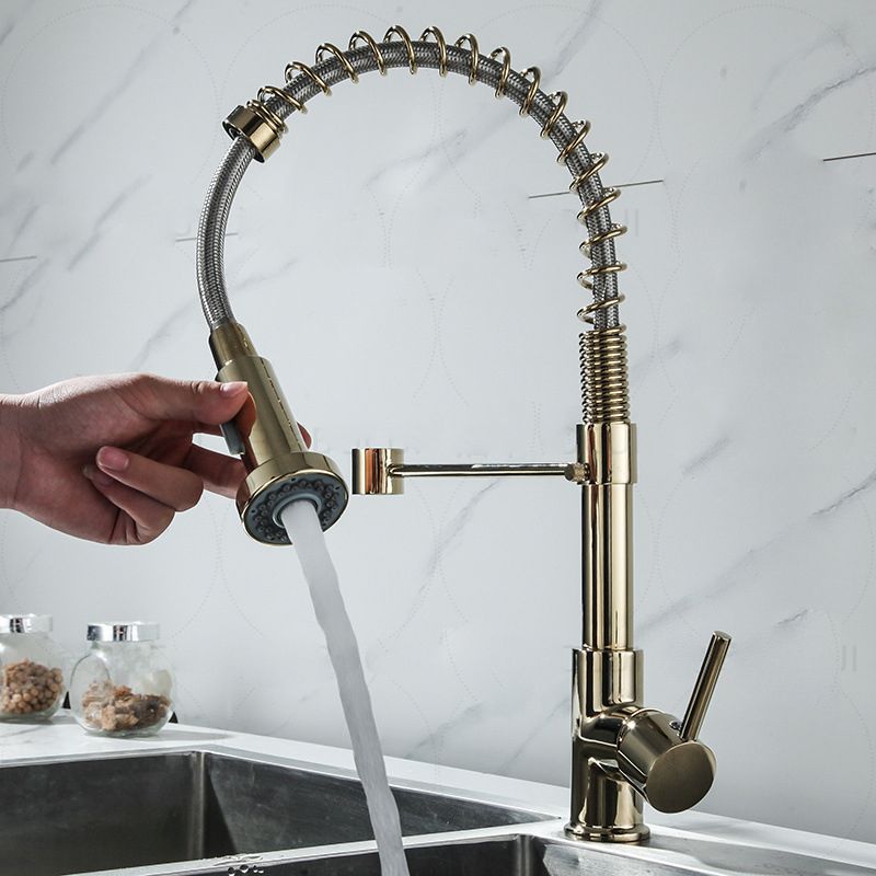 Modern Farmhouse Spring Spout One Lever Kitchen Faucet High Arch Water Filler Clearhalo 'Home Improvement' 'home_improvement' 'home_improvement_kitchen_faucets' 'Kitchen Faucets' 'Kitchen Remodel & Kitchen Fixtures' 'Kitchen Sinks & Faucet Components' 'kitchen_faucets' 1200x1200_b6e5b680-7261-47c9-a595-53cb2a79f41e
