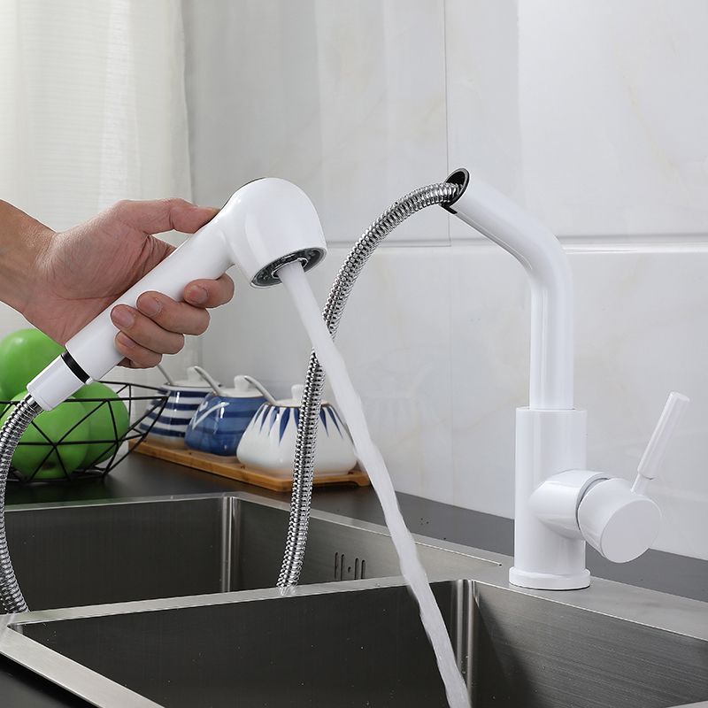 1-Handle Kitchen Faucet Pull down Sprayer with Supply Lines Bar Faucet Clearhalo 'Home Improvement' 'home_improvement' 'home_improvement_kitchen_faucets' 'Kitchen Faucets' 'Kitchen Remodel & Kitchen Fixtures' 'Kitchen Sinks & Faucet Components' 'kitchen_faucets' 1200x1200_b767660e-2bf0-4dbc-8bf2-c288a74b577b