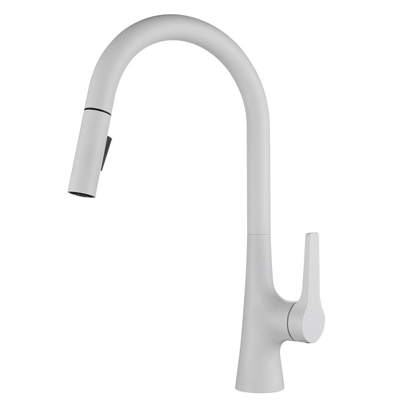 Contemporary Single Handle Kitchen Faucet Water Filler with Pull out Sprayer Clearhalo 'Home Improvement' 'home_improvement' 'home_improvement_kitchen_faucets' 'Kitchen Faucets' 'Kitchen Remodel & Kitchen Fixtures' 'Kitchen Sinks & Faucet Components' 'kitchen_faucets' 1200x1200_b76c0814-f3e3-451e-90bf-5bb88177ab65