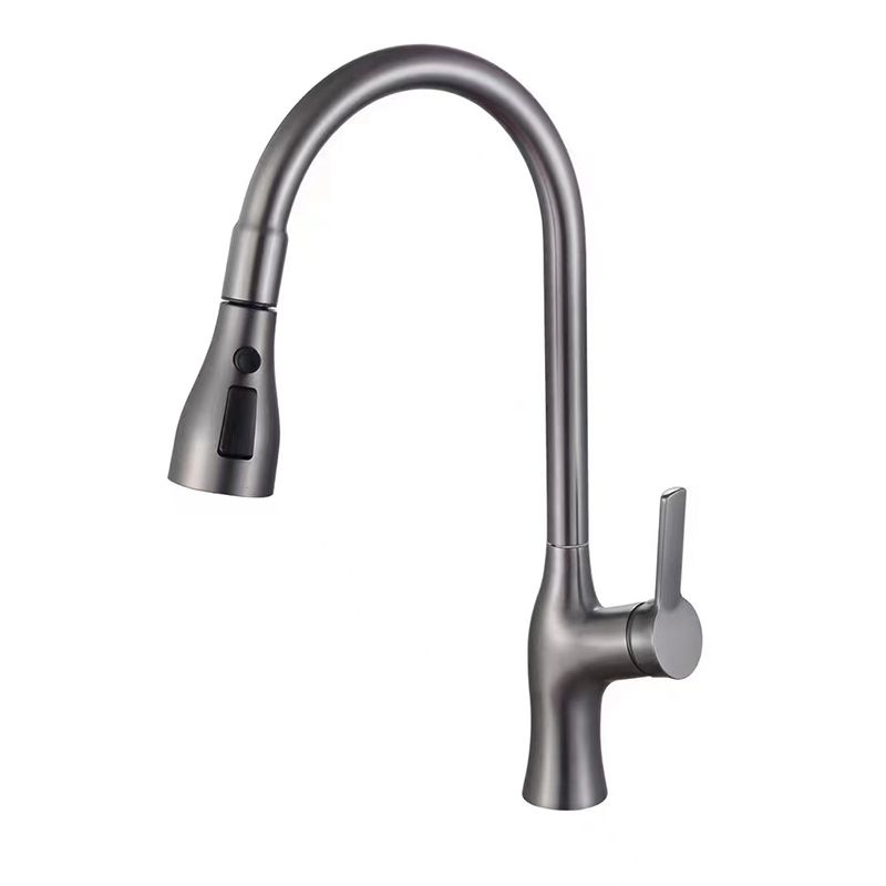1-Hole 1-Handle Faucet Pull out Sprayer Standard Kitchen Faucet Clearhalo 'Home Improvement' 'home_improvement' 'home_improvement_kitchen_faucets' 'Kitchen Faucets' 'Kitchen Remodel & Kitchen Fixtures' 'Kitchen Sinks & Faucet Components' 'kitchen_faucets' 1200x1200_b881d57d-6443-4d79-af74-cd16818b0cb6