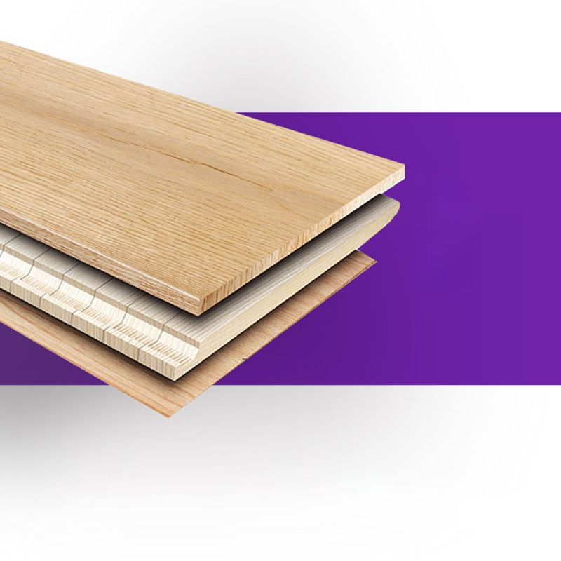 Modern Laminate Flooring Wood Scratch Resistant Click-Lock Laminate Clearhalo 'Flooring 'Home Improvement' 'home_improvement' 'home_improvement_laminate_flooring' 'Laminate Flooring' 'laminate_flooring' Walls and Ceiling' 1200x1200_b9a70ba4-ea8d-4861-98b9-18890bf2f009