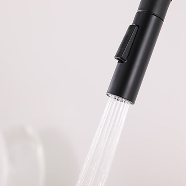 Modern 1-Handle Faucets Stainless Steel Gooseneck with Pull Out Sprayer Faucets Clearhalo 'Home Improvement' 'home_improvement' 'home_improvement_kitchen_faucets' 'Kitchen Faucets' 'Kitchen Remodel & Kitchen Fixtures' 'Kitchen Sinks & Faucet Components' 'kitchen_faucets' 1200x1200_ba181a54-73c4-4234-bef3-40ba17f3a355