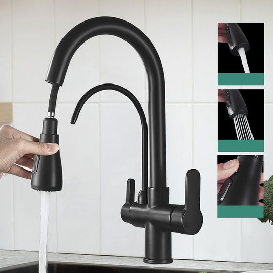 Contemporary Two Handles Kitchen Faucet Double Faucet 1-Hold Faucet Clearhalo 'Home Improvement' 'home_improvement' 'home_improvement_kitchen_faucets' 'Kitchen Faucets' 'Kitchen Remodel & Kitchen Fixtures' 'Kitchen Sinks & Faucet Components' 'kitchen_faucets' 1200x1200_ba18811f-5369-4b8c-bbae-53620e011e13