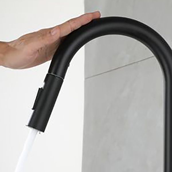 Modern Pull down Sprayer Water Filler One Handle High Arch Kitchen Faucet Clearhalo 'Home Improvement' 'home_improvement' 'home_improvement_kitchen_faucets' 'Kitchen Faucets' 'Kitchen Remodel & Kitchen Fixtures' 'Kitchen Sinks & Faucet Components' 'kitchen_faucets' 1200x1200_baa90e69-33ab-450e-8cfe-d30aef2e15ef