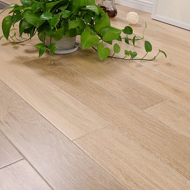 Modern Laminate Floor Wood Indoor Living Room Laminate Plank Flooring Clearhalo 'Flooring 'Home Improvement' 'home_improvement' 'home_improvement_laminate_flooring' 'Laminate Flooring' 'laminate_flooring' Walls and Ceiling' 1200x1200_bc05f523-fc87-4ff7-9f51-dcd591647441