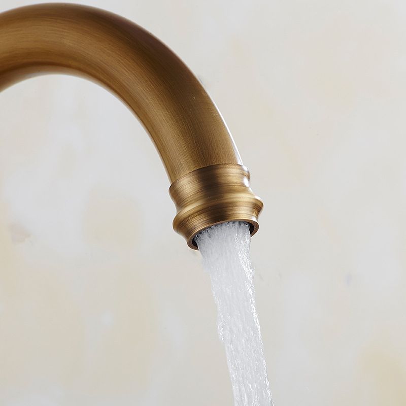 Traditional 1-Hole Kitchen Faucet Swivel Spout Gooseneck Standard Kitchen Faucets Clearhalo 'Home Improvement' 'home_improvement' 'home_improvement_kitchen_faucets' 'Kitchen Faucets' 'Kitchen Remodel & Kitchen Fixtures' 'Kitchen Sinks & Faucet Components' 'kitchen_faucets' 1200x1200_bc17d910-32c7-4719-a6de-ef1de1ead2ce