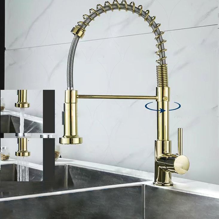 Modern Farmhouse Spring Spout One Lever Kitchen Faucet High Arch Water Filler Clearhalo 'Home Improvement' 'home_improvement' 'home_improvement_kitchen_faucets' 'Kitchen Faucets' 'Kitchen Remodel & Kitchen Fixtures' 'Kitchen Sinks & Faucet Components' 'kitchen_faucets' 1200x1200_bc31728e-153a-4865-b7ec-3f7853f82b44