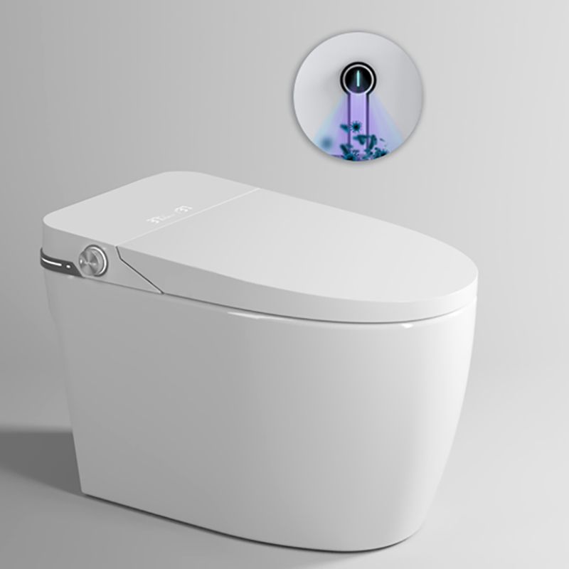 Elongated Floor Standing Bidet in White Smart Bidet with Heated Seat Clearhalo 'Bathroom Remodel & Bathroom Fixtures' 'Bidets' 'Home Improvement' 'home_improvement' 'home_improvement_bidets' 'Toilets & Bidets' 1200x1200_bc6fc5b1-c67b-400b-b232-e089d6a87643