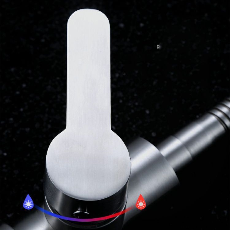 Modern Pot Filler 304 Stainless Steel Pre-rinse Spring Spout Kitchen Sink Faucet Clearhalo 'Home Improvement' 'home_improvement' 'home_improvement_kitchen_faucets' 'Kitchen Faucets' 'Kitchen Remodel & Kitchen Fixtures' 'Kitchen Sinks & Faucet Components' 'kitchen_faucets' 1200x1200_bcfa95d6-ab3f-40d2-b02f-8434d9a3cca9