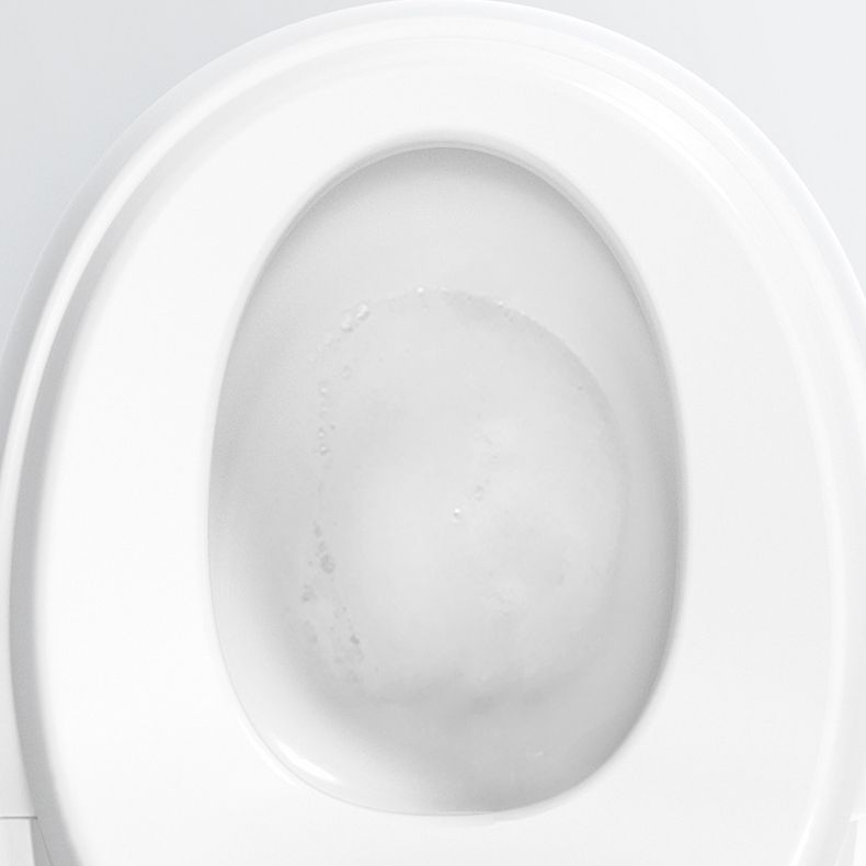 Contemporary 1-Piece Bidet Toilet Floor Mounted Round Toilet Bowl for Washroom Clearhalo 'Bathroom Remodel & Bathroom Fixtures' 'Home Improvement' 'home_improvement' 'home_improvement_toilets' 'Toilets & Bidets' 'Toilets' 1200x1200_beb76ab9-e46a-4559-b49d-c48e45ee5c4a