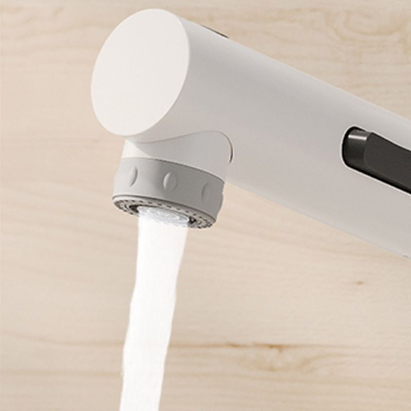 Vessel Sink Bathroom Faucet Lever Handle Low Arc with Pull down Sprayer Clearhalo 'Bathroom Remodel & Bathroom Fixtures' 'Bathroom Sink Faucets' 'Bathroom Sinks & Faucet Components' 'bathroom_sink_faucets' 'Casa' 'Home Improvement' 'home_improvement' 'home_improvement_bathroom_sink_faucets' 1200x1200_bfa021d0-1d1b-4937-a20e-94667ce2538e