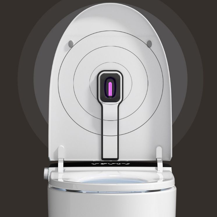 Ceramic Floor Standing Bidet Elongated Heated Seat Bidet in White Clearhalo 'Bathroom Remodel & Bathroom Fixtures' 'Bidets' 'Home Improvement' 'home_improvement' 'home_improvement_bidets' 'Toilets & Bidets' 1200x1200_bfc3934a-53d8-46a8-98f2-4b35aeac6c12