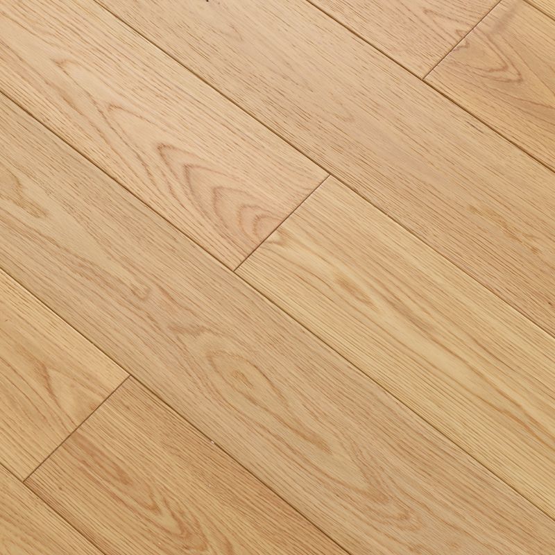 Traditional Flooring Tiles Solid Wood Water Resistant Click-Locking Plank Flooring Clearhalo 'Flooring 'Hardwood Flooring' 'hardwood_flooring' 'Home Improvement' 'home_improvement' 'home_improvement_hardwood_flooring' Walls and Ceiling' 1200x1200_c1019afe-673e-42e6-8fe6-c16a6b3210b3