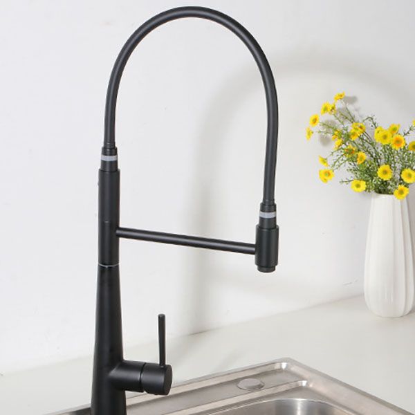 Modern Farmhouse Kitchen Faucet Pull down One Handle High Arch Water Filler Clearhalo 'Home Improvement' 'home_improvement' 'home_improvement_kitchen_faucets' 'Kitchen Faucets' 'Kitchen Remodel & Kitchen Fixtures' 'Kitchen Sinks & Faucet Components' 'kitchen_faucets' 1200x1200_c11df9ef-840f-44b5-baff-32a8bf43cfb9