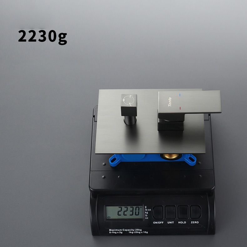 Modern Style Shower System Copper Rectangle Ceiling Mounted Shower System Clearhalo 'Bathroom Remodel & Bathroom Fixtures' 'Home Improvement' 'home_improvement' 'home_improvement_shower_faucets' 'Shower Faucets & Systems' 'shower_faucets' 'Showers & Bathtubs Plumbing' 'Showers & Bathtubs' 1200x1200_c18a0ccf-9da1-45c6-973a-dda190772afa