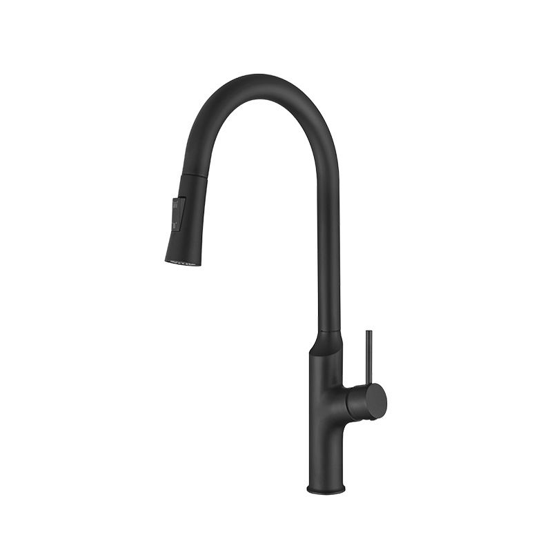 Contemporary Single Lever Kitchen Faucet 1-Hold Water Faucet with Pull out Sprayer Clearhalo 'Home Improvement' 'home_improvement' 'home_improvement_kitchen_faucets' 'Kitchen Faucets' 'Kitchen Remodel & Kitchen Fixtures' 'Kitchen Sinks & Faucet Components' 'kitchen_faucets' 1200x1200_c19eb2a7-22bc-45f9-bf4b-927f7f772ad4