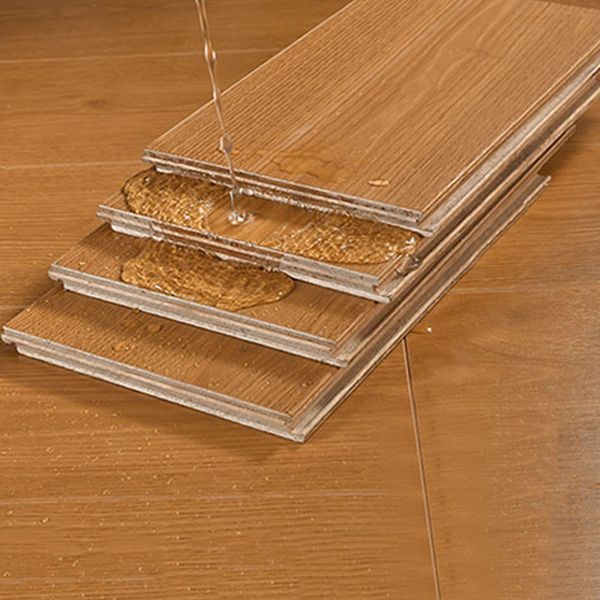 Stain Resistant Laminate Flooring Solid Wood Laminate for Home Clearhalo 'Flooring 'Home Improvement' 'home_improvement' 'home_improvement_laminate_flooring' 'Laminate Flooring' 'laminate_flooring' Walls and Ceiling' 1200x1200_c2003944-f91d-4cbd-8a9f-9894bee5906d