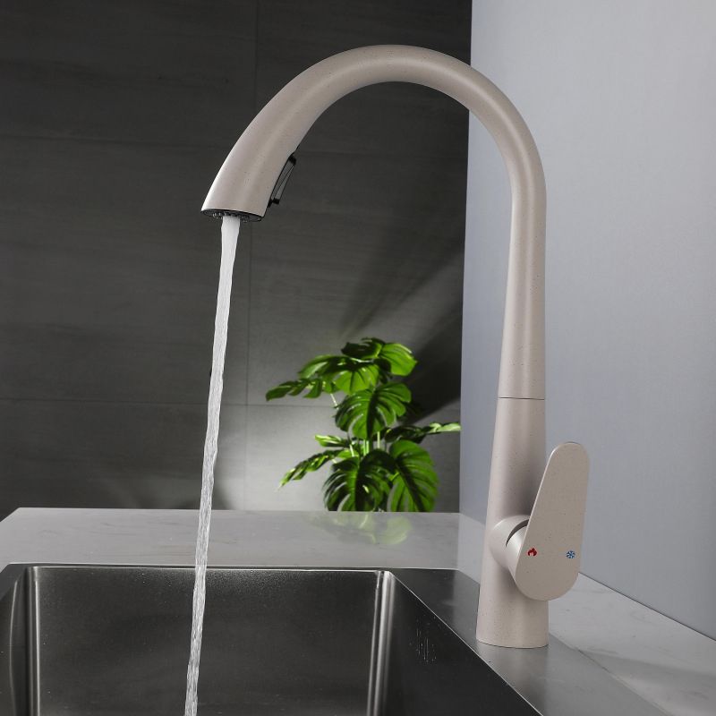 Modern Style Retractable Kitchen Faucet 304 Stainless Steel 1-Handle Kitchen Faucet Clearhalo 'Home Improvement' 'home_improvement' 'home_improvement_kitchen_faucets' 'Kitchen Faucets' 'Kitchen Remodel & Kitchen Fixtures' 'Kitchen Sinks & Faucet Components' 'kitchen_faucets' 1200x1200_c22df66e-362c-4635-9aa3-3b5ce2c7894a